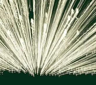 Обложка альбома Faunts «High Expectations/Low Results» (2005)