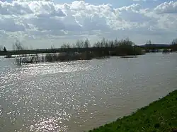 Кришул-Негру возле Дьюла