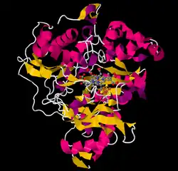 Нитритредуктаза из Spinacia oleracea. Серым показан сирогем, коричневым - железосерный кластер.