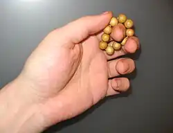 Перстные чётки для непрестанной молитвы