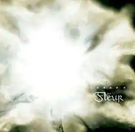 Обложка альбома Flëur «Сияние» (2004)