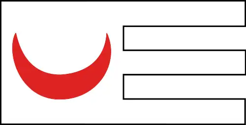 Флаг Королевства Тлемцен (XIV век)