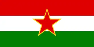 Флаг венгерской общины Югославии, использовавшийся бригадой