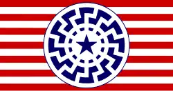 «чёрное солнце» и звезда Техаса на одном из флагов американской неонацистской организации «Авангард Америка» (создана в 2015)