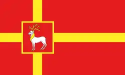 Флаг Залесья