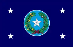 Флаг губернатора Техаса