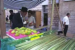 Ярмарка четырёх видов растений накануне праздника Суккот