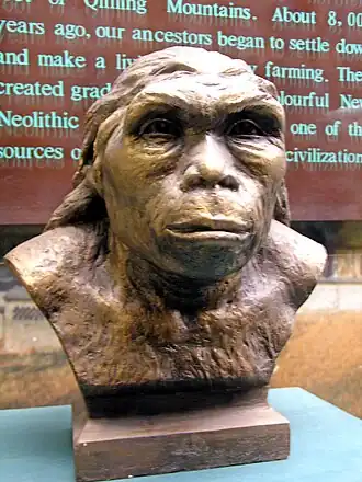 Реконструкция внешнего вида