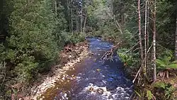 Река Флауэрдейл в районе Меунны