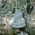 Трутовик настоящий (Fomes fomentarius) на стволе берёзы