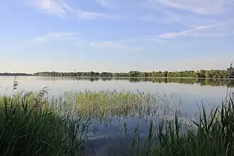 Южная часть озера (в черте города Сенно)