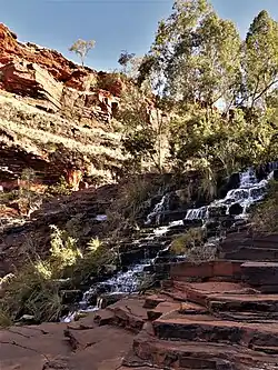 Водопад Фортескью
