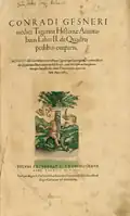 Фронтиспис второго тома сочинения Геснера "De Historiae animalium" (1554)
