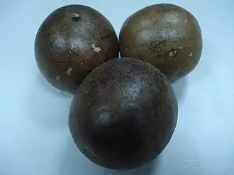 Siraitia grosvenorii