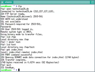 Скриншот программы ftp