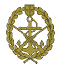 Знак на берет