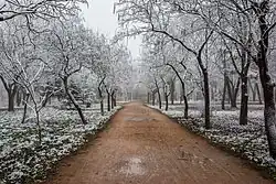 Одна из дорожек парка в конце ноября