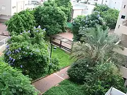 Сад в Рамат-Гане