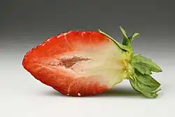 Ягода клубники в разрезе