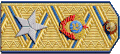 Погоны (1943-1945)