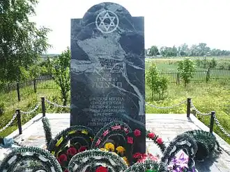 Памятник убитым евреям в Ляховичах