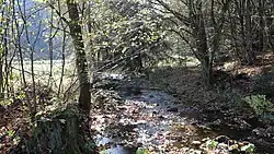 Среднее течение Грюмпеля около населённого пункта Лам в Вильгельмстале