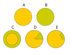 Вегетативная гибридизация24 апреля 2010
