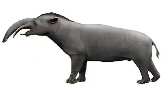 Реконструкция Granastrapotherium snorki