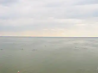 Вид на Большое Яровое озеро с городского пляжа г. Яровое