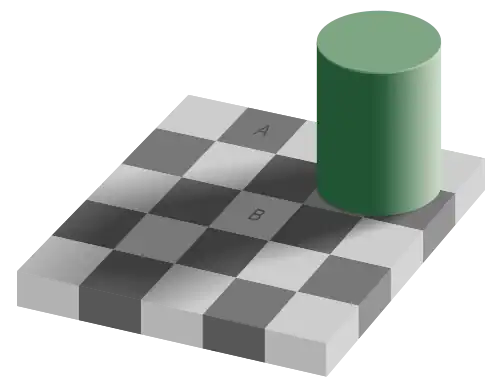 1 Клетки A и B — одинакового цвета