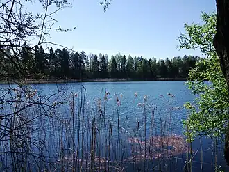 Вид на озеро весной 2014 года