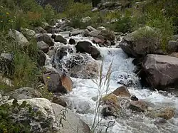 Гулькамсай в нижнем течении