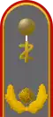 Генерал-арцт[англ.] (Generalarzt)(Сухопутные войска, служебная форма, дантист)