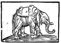Изображение слона Ханно