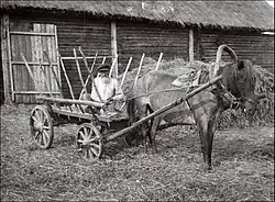 Крестьянин на телеге для перевозки сена и овощей