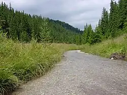 Река Гнилец