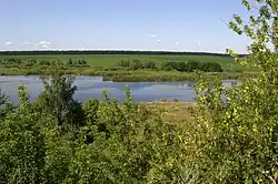 Река Гнилопять на южной окраине села