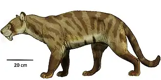 Гоплофонеус