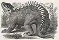 Гилеозавр. Рисунок 1871 года