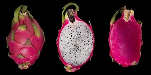 Красная питайя(Hylocereus undatus)