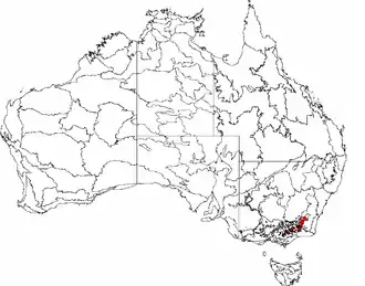 Карта биогеографических регионов Австралии[англ.]. Австралийские Альпы выделены красным