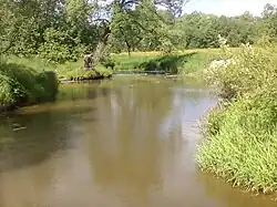 Талица на восточной окраине Софрина