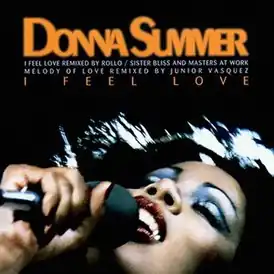 Обложка сингла Донны Саммер «I Feel Love» (1995)