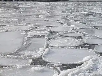 Блинчатый лёд (Торонто, январь 2015)