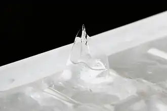 Шип, выращенный в лотке для льда