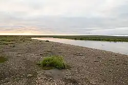 Ичвувеем в нижнем течении летом 2024 года