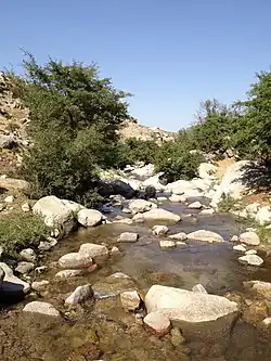 Илансай в июне, среднее течение