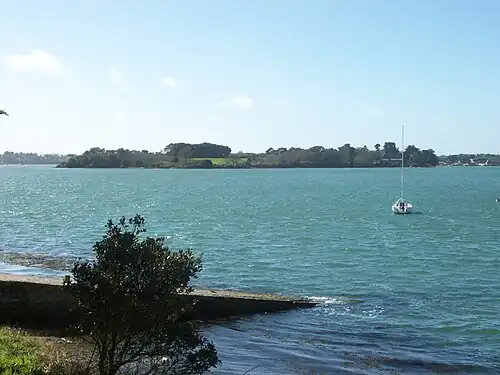 Вид на остров Ирю