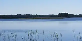 Вид на северо-западную часть озера Авилис возле деревни Авиляй[лит.] летом 2014 года.