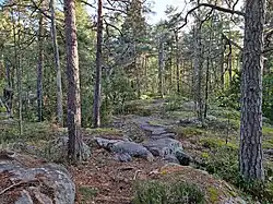 Лесопарк в Хельсинки, Финляндия